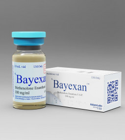 <b>Bayexan ™</b>